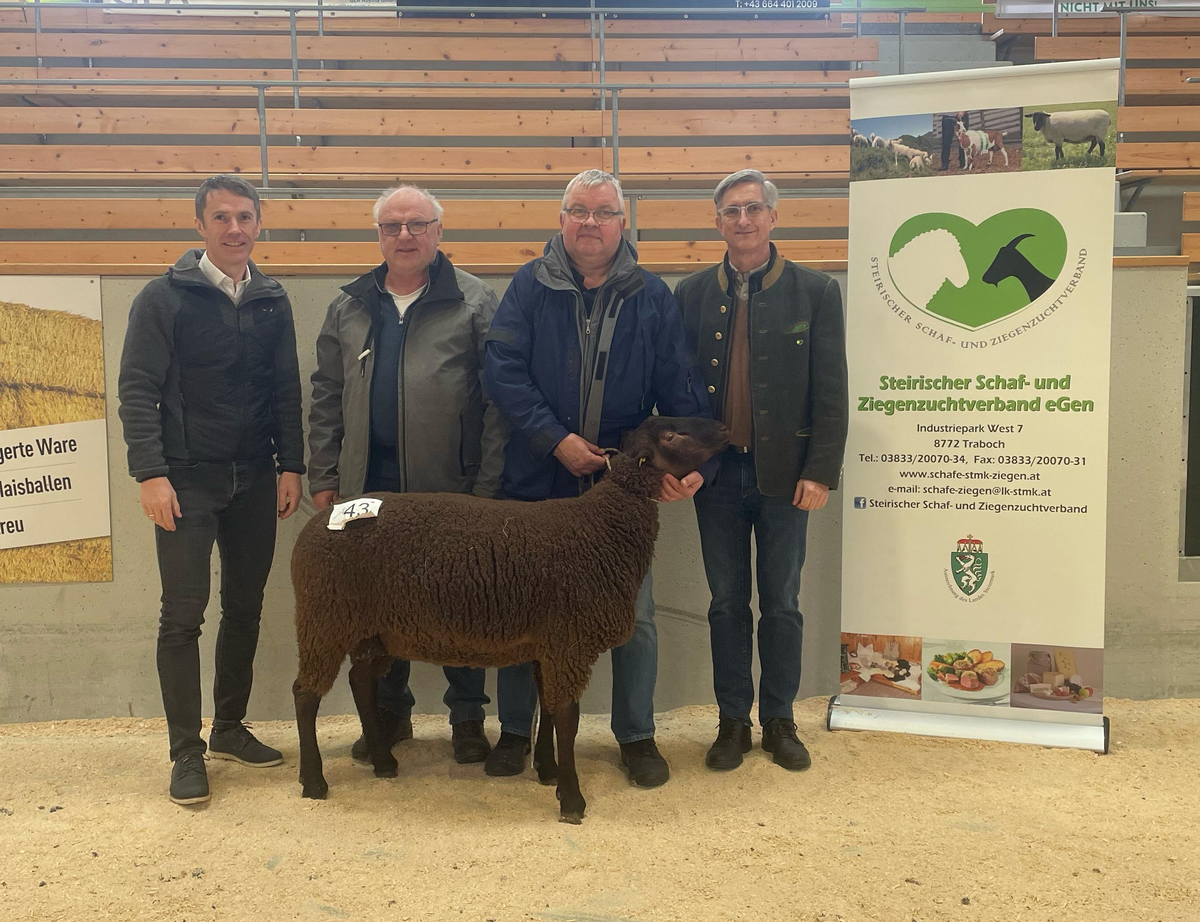 Steiermark Ausstellung